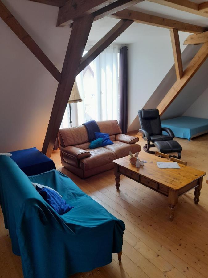 Apigite68, Proche Route Des Vins, Vosges, Colmar Et Non Loin D'Europa-Park! Ostheim Exterior foto